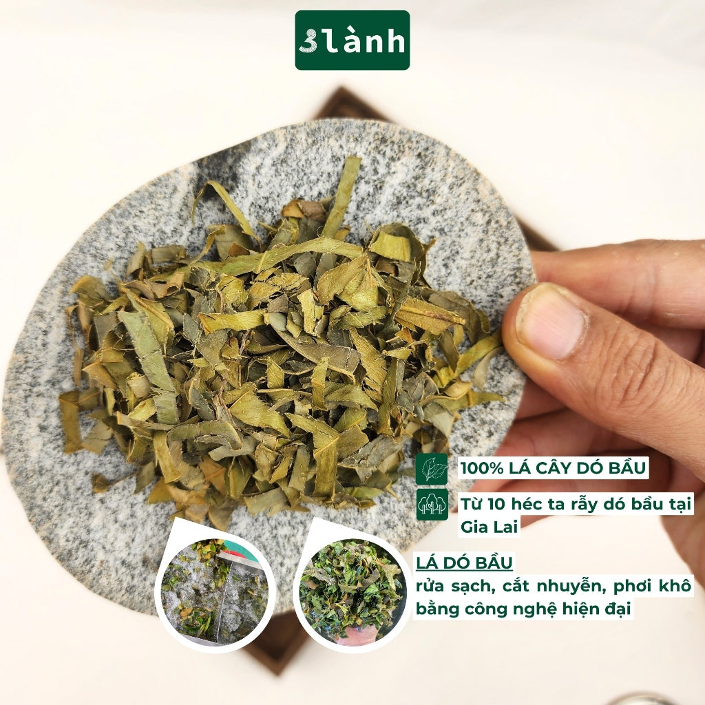 Trà Trầm Hương Dạng Lá Hộp 50gr 3 Lành Hoàn Toàn Từ Lá Dó Bầu Ngủ Ngon Giảm Stress Tốt Sức Khỏe