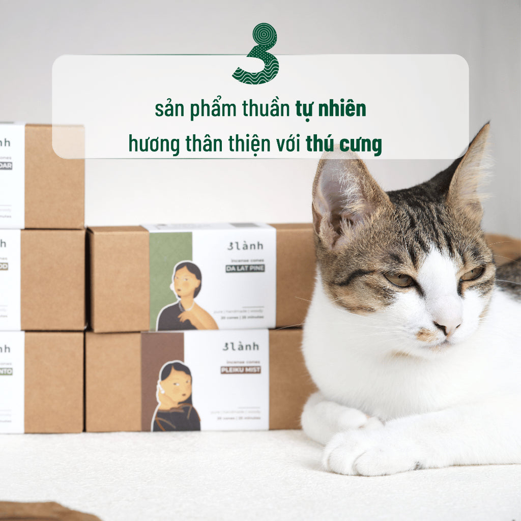 Nụ Thủ Công 3 Lành Hộp 20 Nụ Nhiều Mùi 100 % Tự Nhiên Tặng Kèm Đế Chăm Không Hóa Chất Xông Thơm