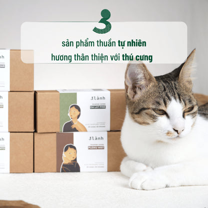 Nụ Thủ Công 3 Lành Hộp 20 Nụ Nhiều Mùi 100 % Tự Nhiên Tặng Kèm Đế Chăm Không Hóa Chất Xông Thơm