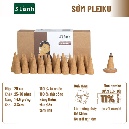 Nụ Thủ Công 3 Lành Hộp 20 Nụ Nhiều Mùi 100 % Tự Nhiên Tặng Kèm Đế Chăm Không Hóa Chất Xông Thơm