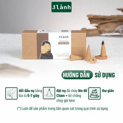 Nụ Thủ Công Sớm Pleiku 3 Lành Hộp 20 Nụ 100 % Tự Nhiên Tặng Kèm Đế Chăm, Không Hóa Chất, Xông Thơm