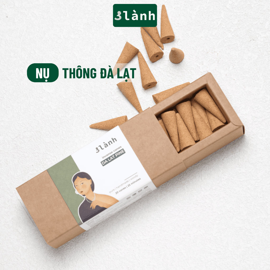 Nụ Thủ Công Thông Đà Lạt 3 Lành Hộp 20 Mùi 100 % Tự Nhiên Tặng Kèm Đế Chăm, Không Hóa Chất Xông Thơm